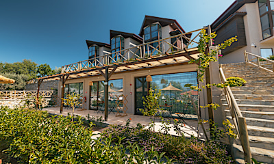 Nature Room 